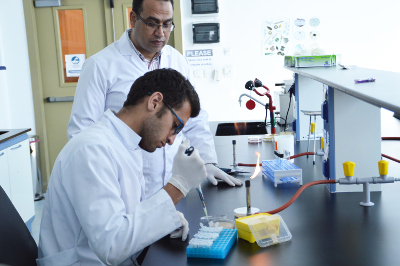 Zewail City wants to develop a bacteriophage-based tool that can detect pathogenic bacteria